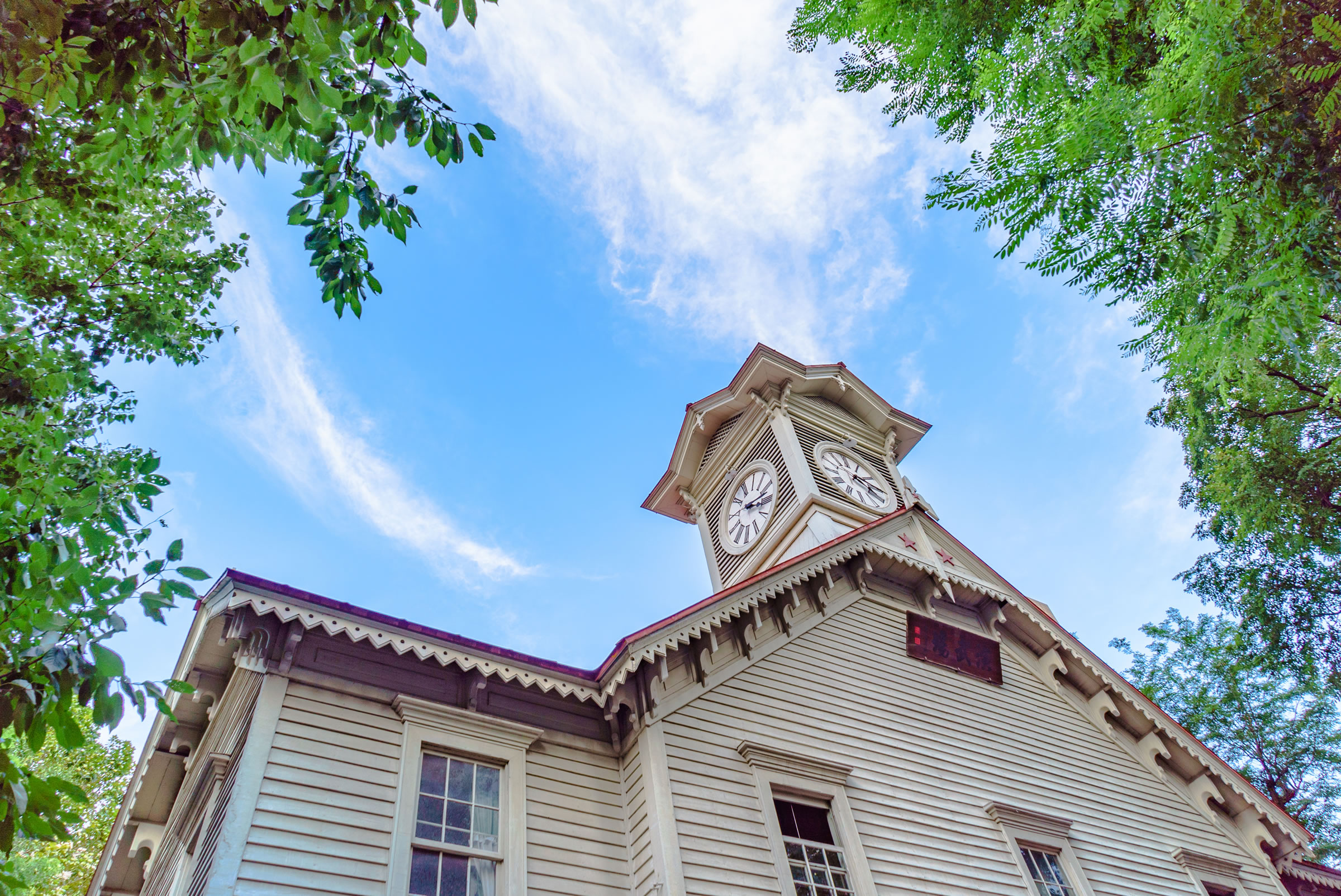 北海道大会 イメージ画像